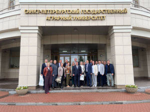 Профессиональный обмен опытом 