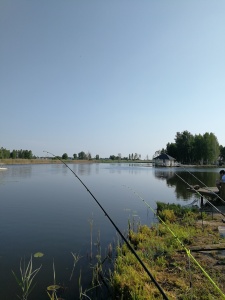 Рыбалка 2019